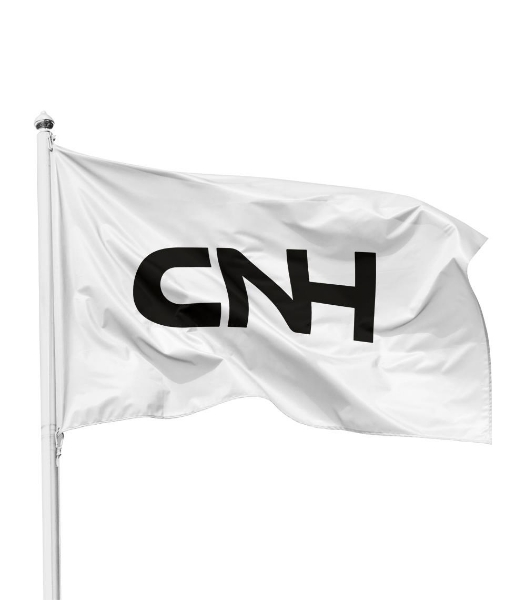 Picture of Flag, white (horizontal format)
